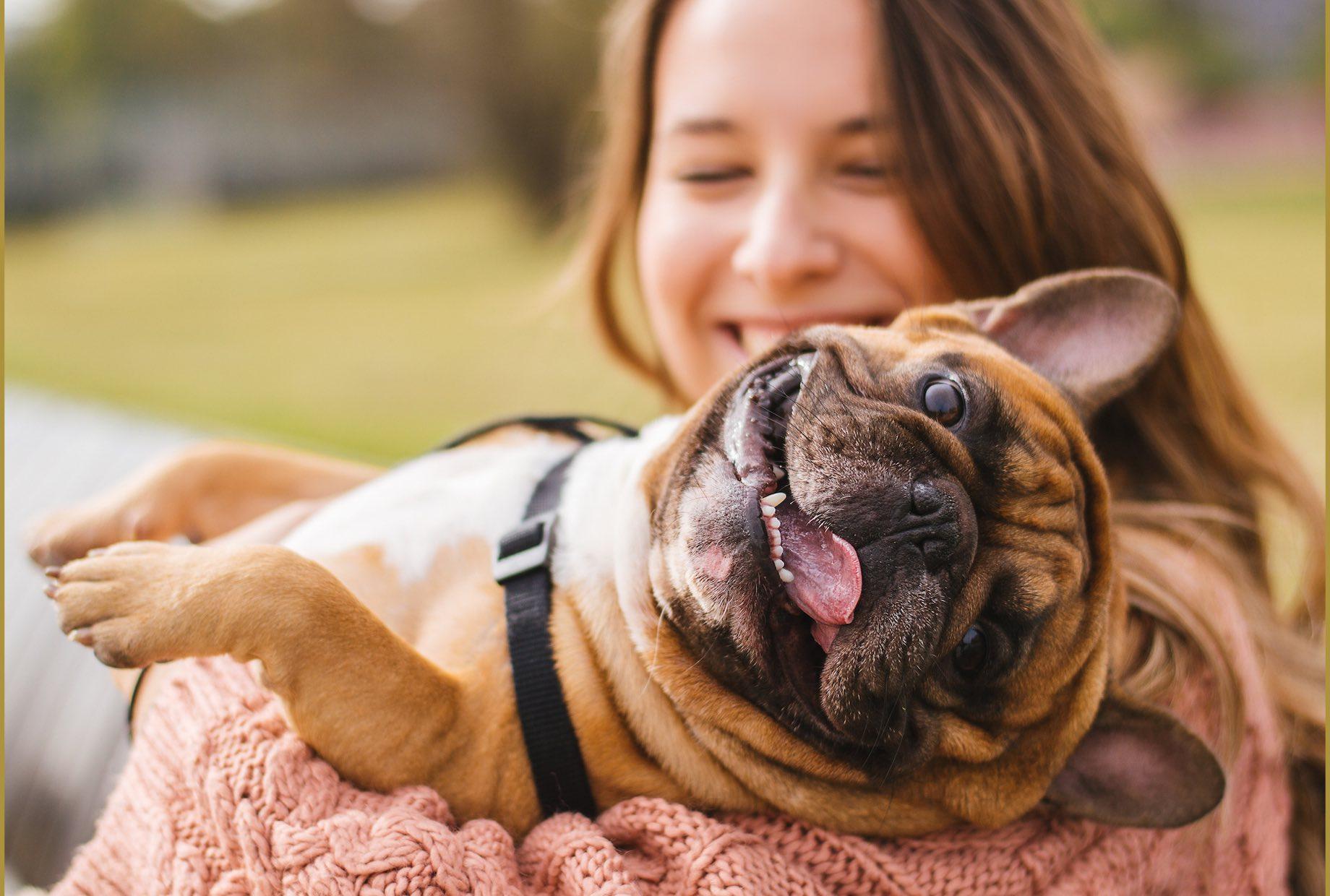 Dog in Arms